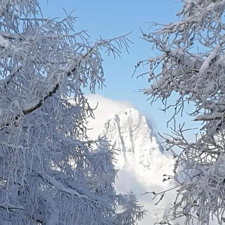 Апартаменты One Bedroom