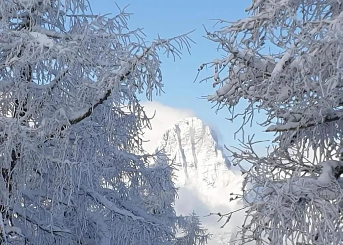 Διαμέρισμα One Bedroom