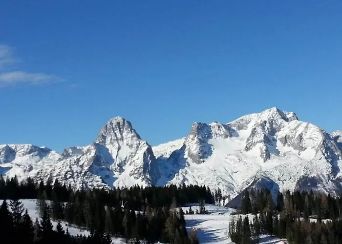 One Bedroom Lejlighed Farnau