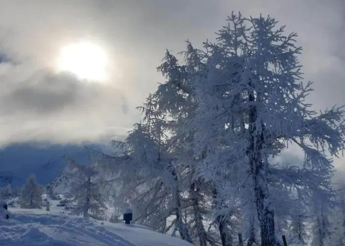 Lejlighed One Bedroom Farnau